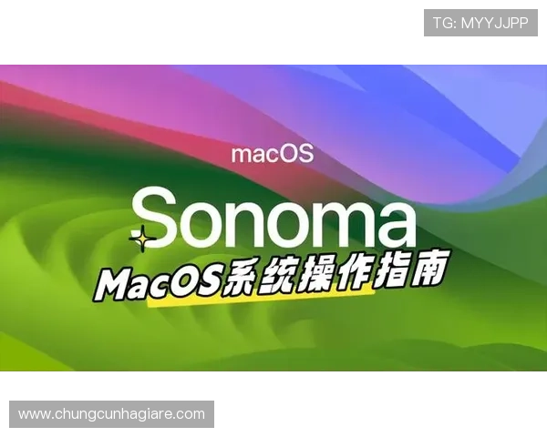 ag捕鱼官网会员注册流程详解帮助新手快速完成注册流程指南