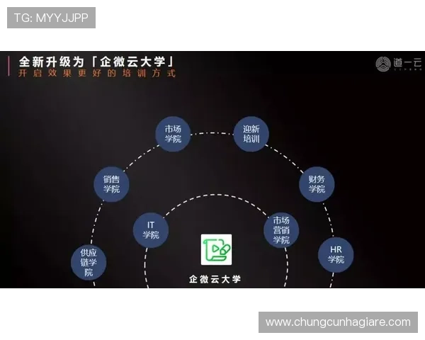 bob真人电竞平台全面解析助你轻松掌握最新电竞赛事动态与玩法技巧 bob真人电竞平台全面解析助你轻松掌握最新电竞赛事动态与玩法技巧