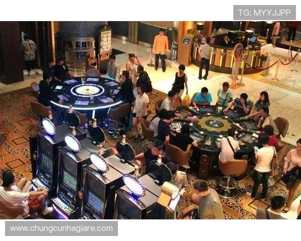 百家乐比赛视频直播回放高清全集带你领略国际顶级赌场百家乐比赛的激烈对决与精彩瞬间