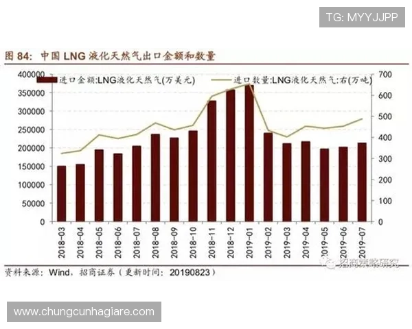 掌握百家乐公式的核心原理与应用方法实现稳健盈利的必备指南