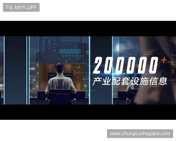 深入分析AG视讯集团的企业背景与市场布局，助力投资者做出明智决策