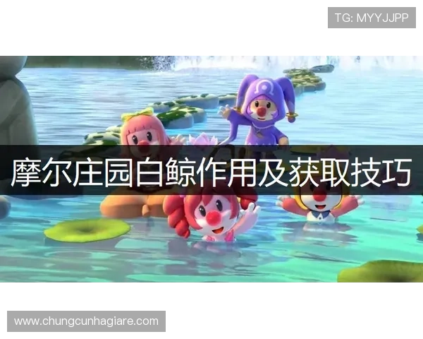 百家le庄闲技巧稳赢：掌握这些策略让你轻松赢得每一局